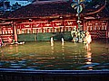 DSC03746.JPG
