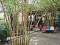DSC03786.JPG