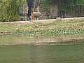 DSC03818.JPG