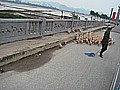DSC03832.JPG