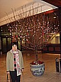DSC03842.JPG