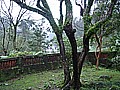 DSC03856-1.JPG