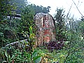 DSC03901.JPG