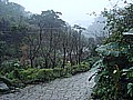 DSC03904.JPG