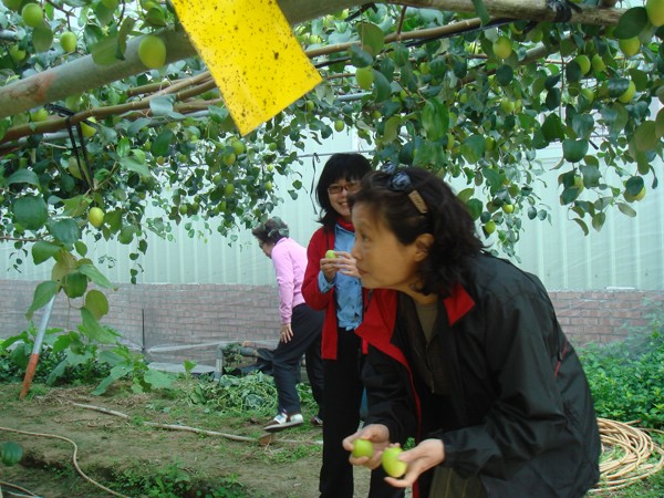 DSC03934.JPG