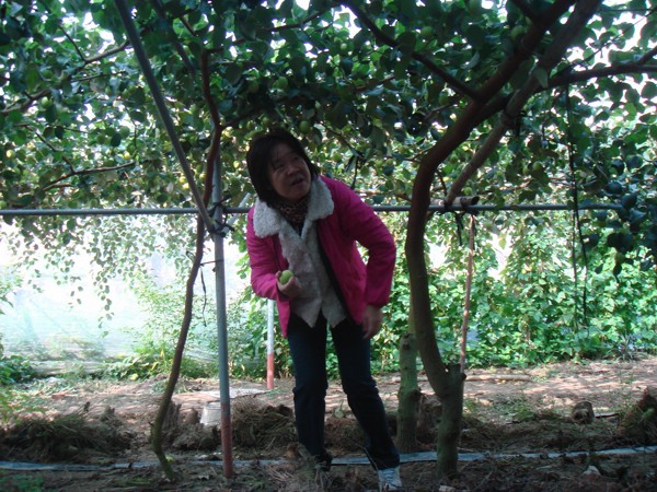 DSC03937.JPG