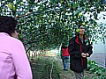 DSC03932.JPG