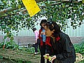 DSC03934.JPG
