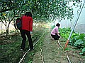 DSC03935.JPG
