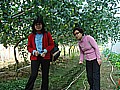 DSC03936.JPG