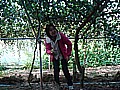 DSC03937.JPG