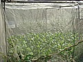 DSC03939.JPG