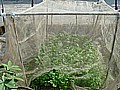 DSC03940.JPG