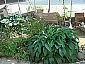 DSC03941.JPG