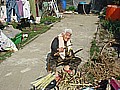DSC03944.JPG
