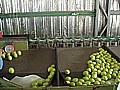 DSC03952.JPG