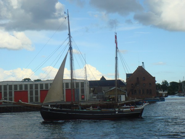 DSC04337.JPG