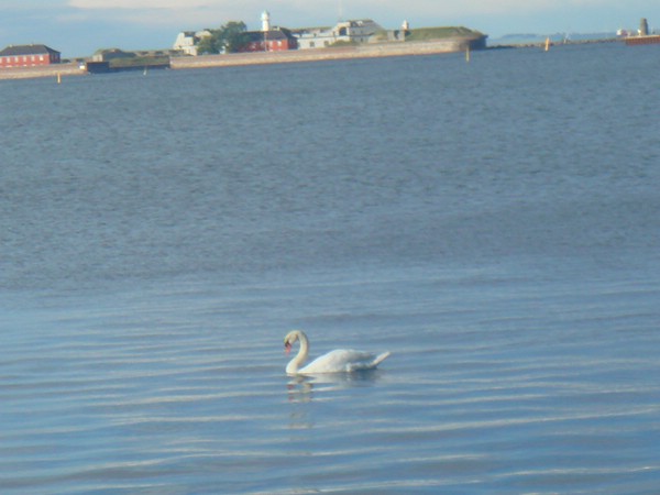 DSC04345.JPG