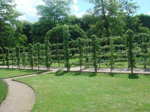 DSC04384.JPG