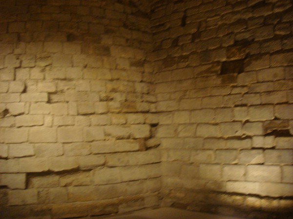 DSC04784.JPG