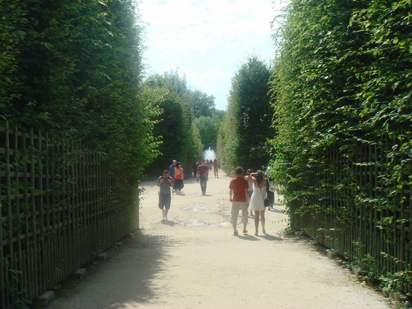 DSC04974.JPG
