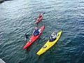 DSC04340.JPG