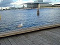 DSC04341.JPG