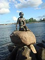 DSC04358.JPG