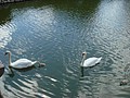 DSC04374.JPG