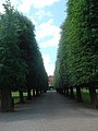 DSC04378.JPG
