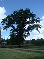 DSC04380.JPG