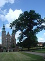 DSC04381.JPG