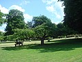 DSC04382.JPG