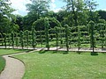 DSC04384.JPG