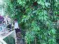 DSC04389.JPG