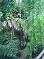 DSC04390.JPG