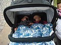 DSC04437.JPG