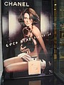 DSC04451.JPG
