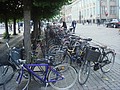 DSC04470.JPG