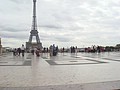 DSC04559.JPG
