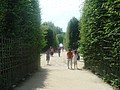 DSC04974.JPG