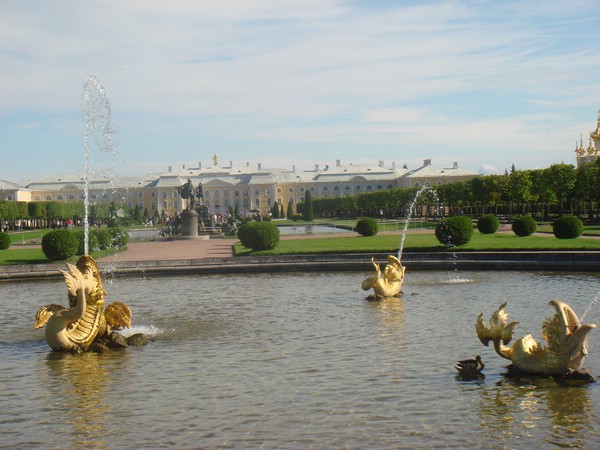 DSC05106.JPG