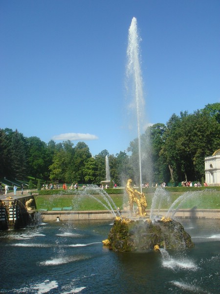DSC05173.JPG