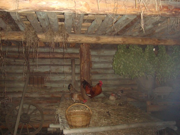 DSC05725.JPG