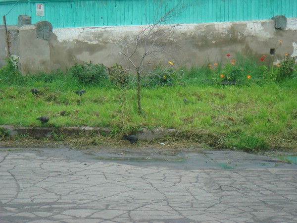 DSC05744.JPG