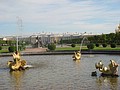 DSC05106.JPG