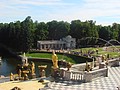 DSC05116.JPG