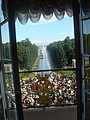 DSC05145.JPG