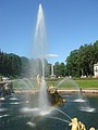 DSC05174.JPG