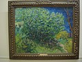 DSC05241.JPG